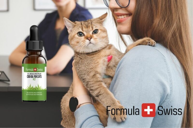 Katteejere i danmark sværger til formula swiss' lovlige cbd olier